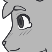 Shaped Sclera