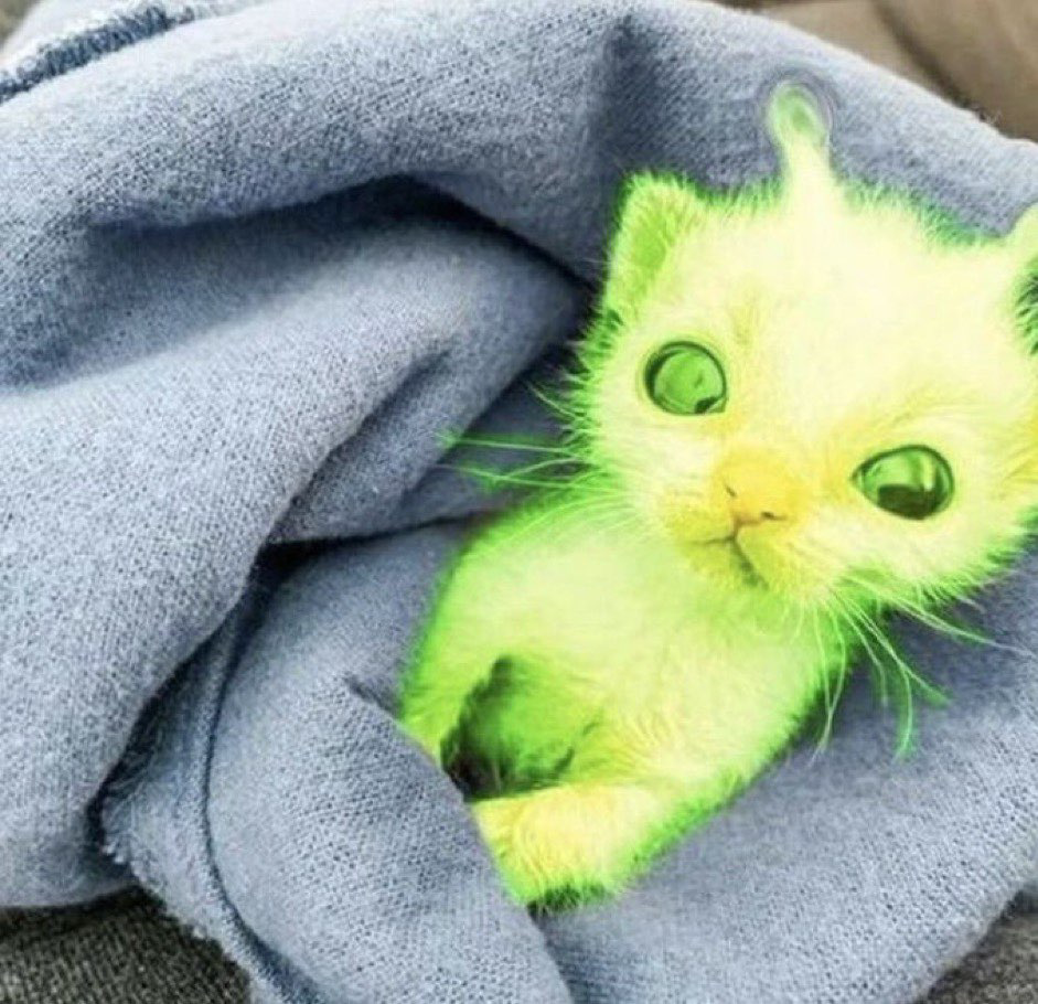 👽🛸 Lumi collectibles at a reasonable price